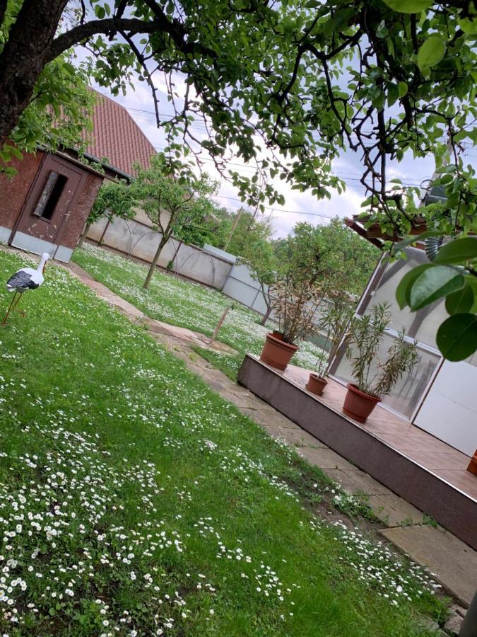 Eoetvoes Vendeghaz Villa Hajdúszoboszló Exterior foto