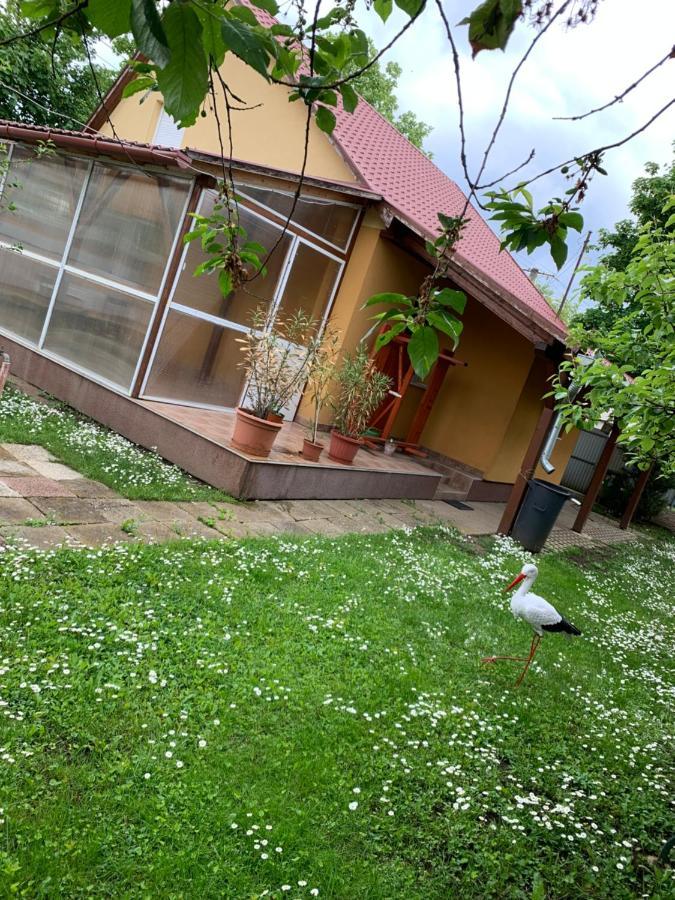 Eoetvoes Vendeghaz Villa Hajdúszoboszló Exterior foto
